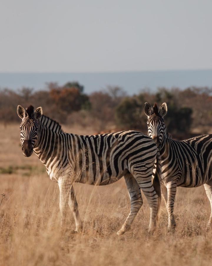 Shambala Private Game Reserve Villa Vaalwater Exterior photo